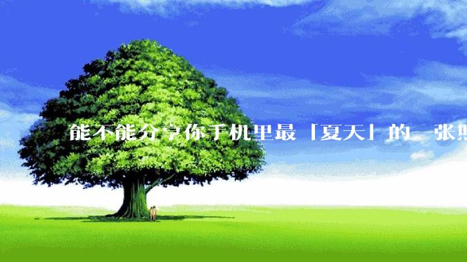 能不能分享你手机里最「夏天」的一张照片？