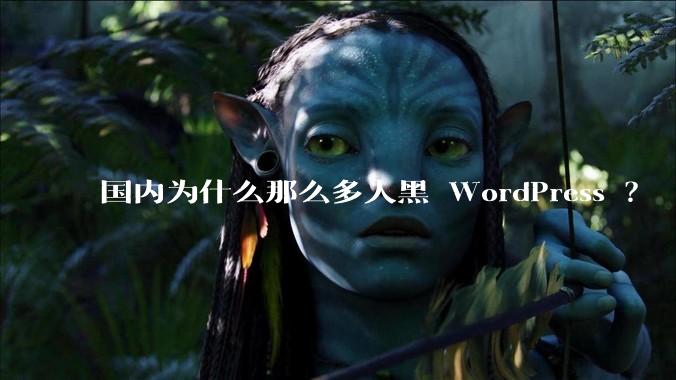 国内为什么那么多人黑 WordPress ？
