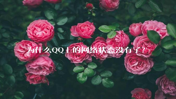 为什么QQ上的网络状态没有了？
