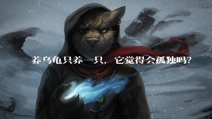 养乌龟只养一只，它觉得会孤独吗？