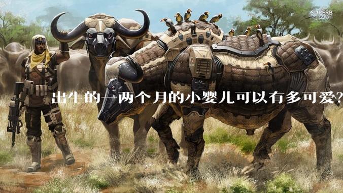 出生的一两个月的小婴儿可以有多可爱？