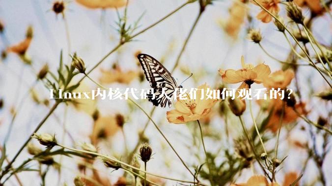 Linux内核代码大佬们如何观看的？