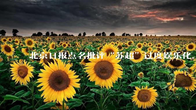 北京日报点名批评“苏超”过度娱乐化，它是否管的太宽了？为什么无良媒体不会被查封取缔？