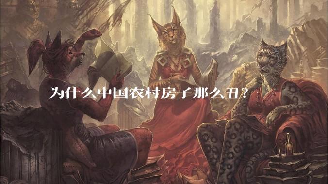 为什么中国农村房子那么丑？