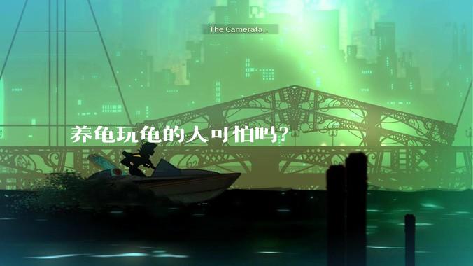 养龟玩龟的人可怕吗？